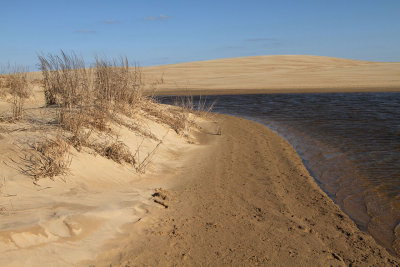  Sand Dunes Kitty Hawk NC.