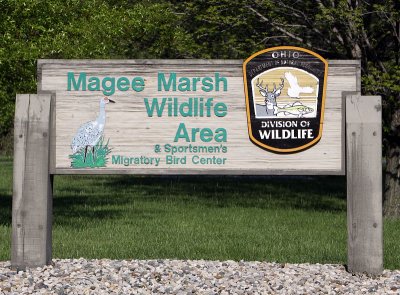 magee_marsh_wildlife_area_port_clinton_ohio_2010