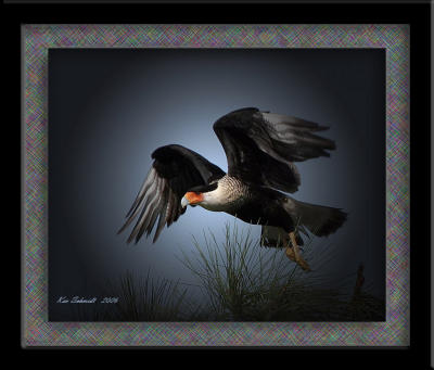 Carcara framed and shadows.jpg