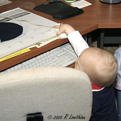 No Problems Using the Mouse