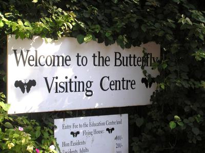 Butterfly Centre