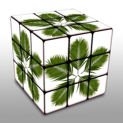 Palm Frond Cube