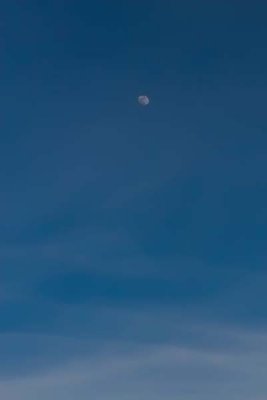 Mid-Day Moon