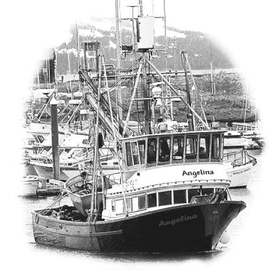 g3/58/560858/3/95957916.kmRKlB8G.jpg