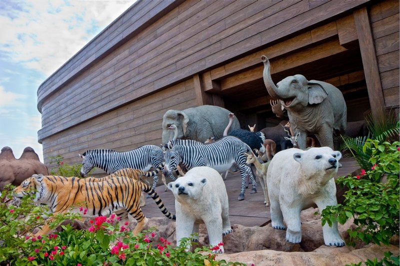 Animals