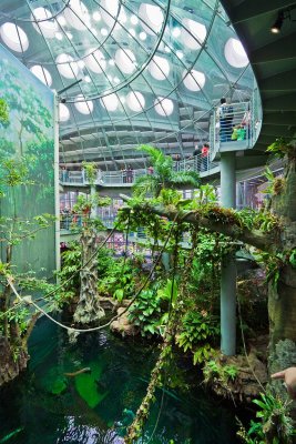 Inside the Rainforests Dome