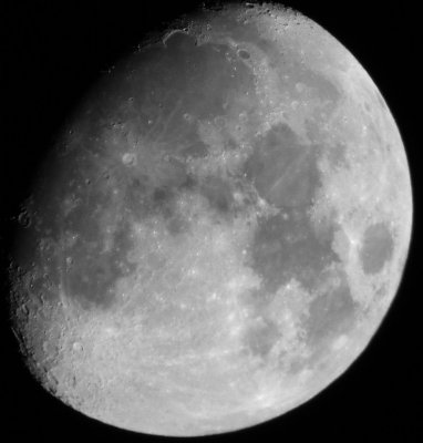 s100fs + raynox2020pro + nikon e15ed
