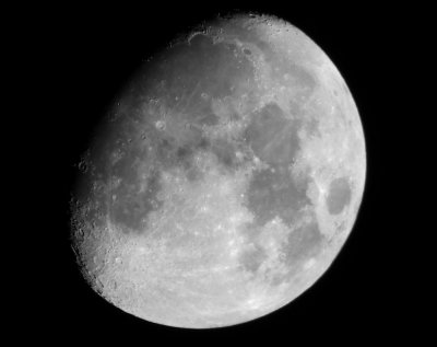 s100fs + raynox2020pro + nikon e15ed