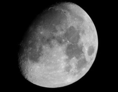 s100fs + raynox2020pro + nikon e15ed