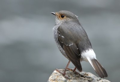 DSC_5832n.jpg