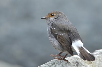 DSC_6151n.jpg