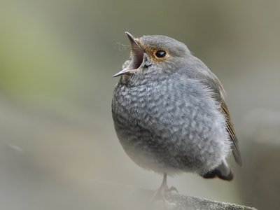DSC_6880n.jpg