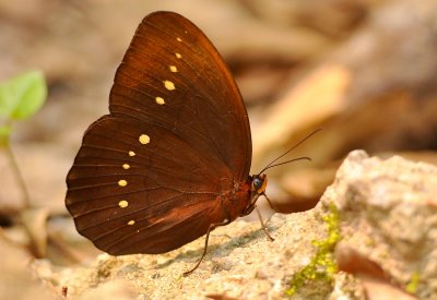 DSC_8483a.jpg