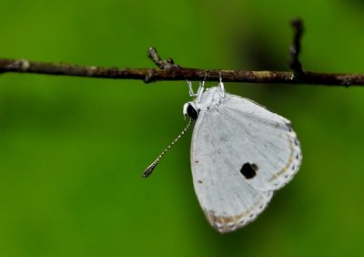 DSC_3369aa.jpg