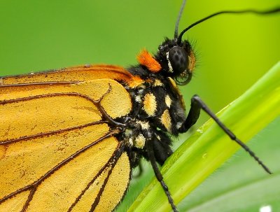 DSC_7019aa.jpg