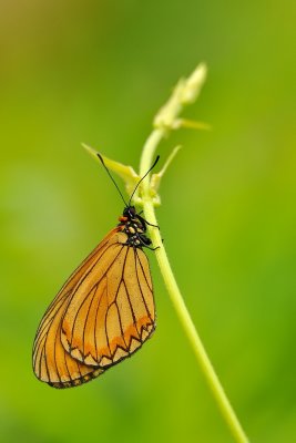 DSC_7389aa.jpg