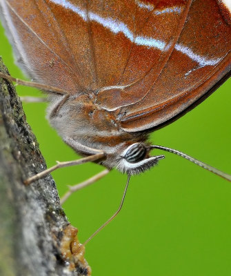 DSC_7481aa.jpg
