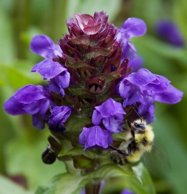 g3/58/579958/3/113898783.dGX37nZ0.jpg