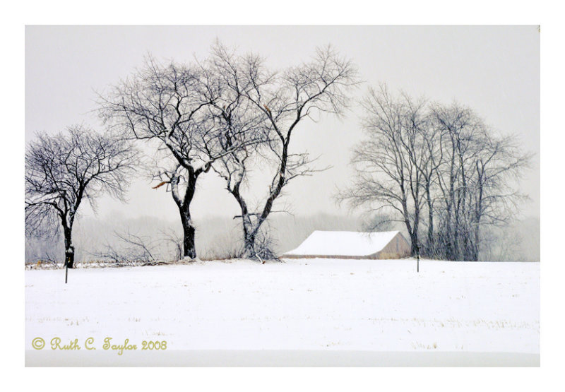 Winter Morning