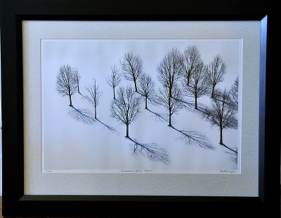 Shadows from Above  (Framed 18x24)  Non Glare glass