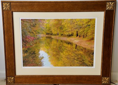 (SOLD) Magic of Autumn Along the Delaware Canal (Framed 18x24)  Non Glare glass