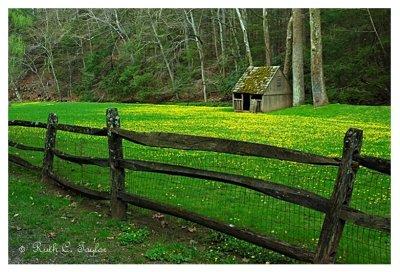 Spring Along Cuttalossa Farm