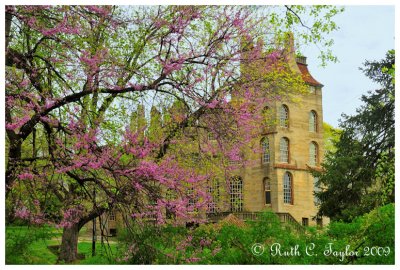 Spring Colors at Fonthill