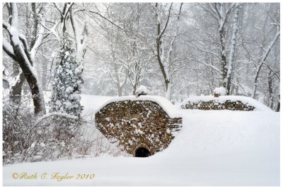 Winter Blanket