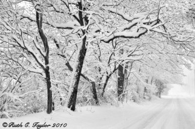 Snowy Road to Buckingham