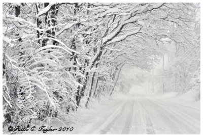 Winter Wonderland Along Cold Spring Creamery Road