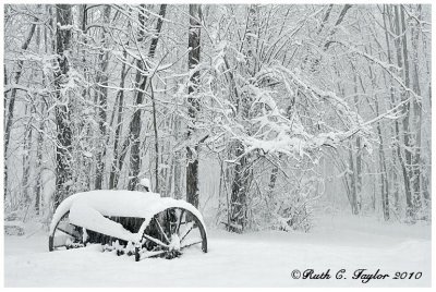 Winter Along Cold Spring Creamery