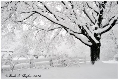 Winter  Along Cold Spring Creamery Road