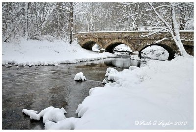 Winter Along Fleecydale II Pine Run Artshow 2010