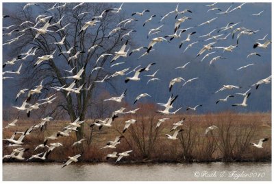 Middle Creek Wildlife Preserve, Lebanon County, PA