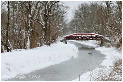 Winter Along the Delaware Canal