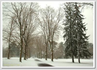 Winters Path