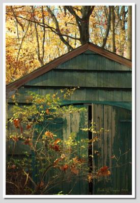 Autumn Shed