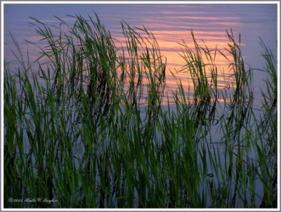 Sunset on the Lake   (over 333)