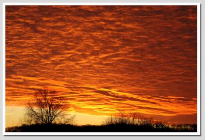 2006-01-16 Sunrise from my Window