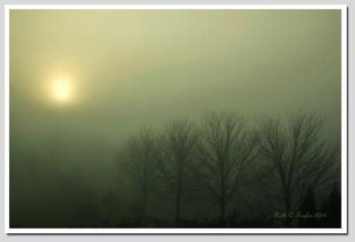2006-01-30 Sunrise in the Fog