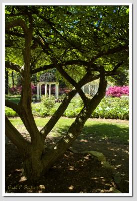 May in the Temple Gardens