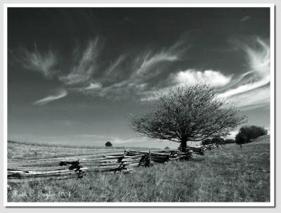 Blue Ridge