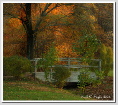 Crossing Bridge in Autumn  Hansel Park
