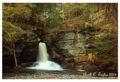 Autumn at Deer Leap Falls