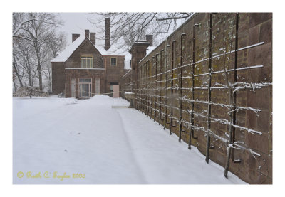 Winter at Tyler Mansion