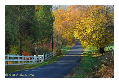 Autumn Lane, Tinicum