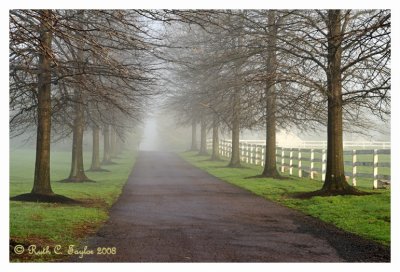Morning Fog over Buckingham