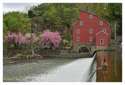 Spring at Clinton Mill