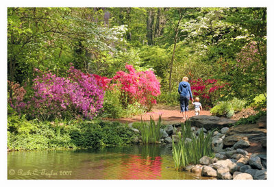 Mother's Day Stroll in the Garden