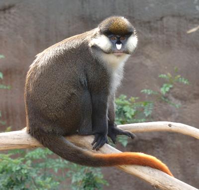 DSC_0052.jpg